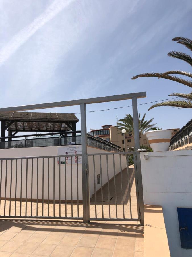 Apartament La Tortuga Complex Amaya Fuerteventura